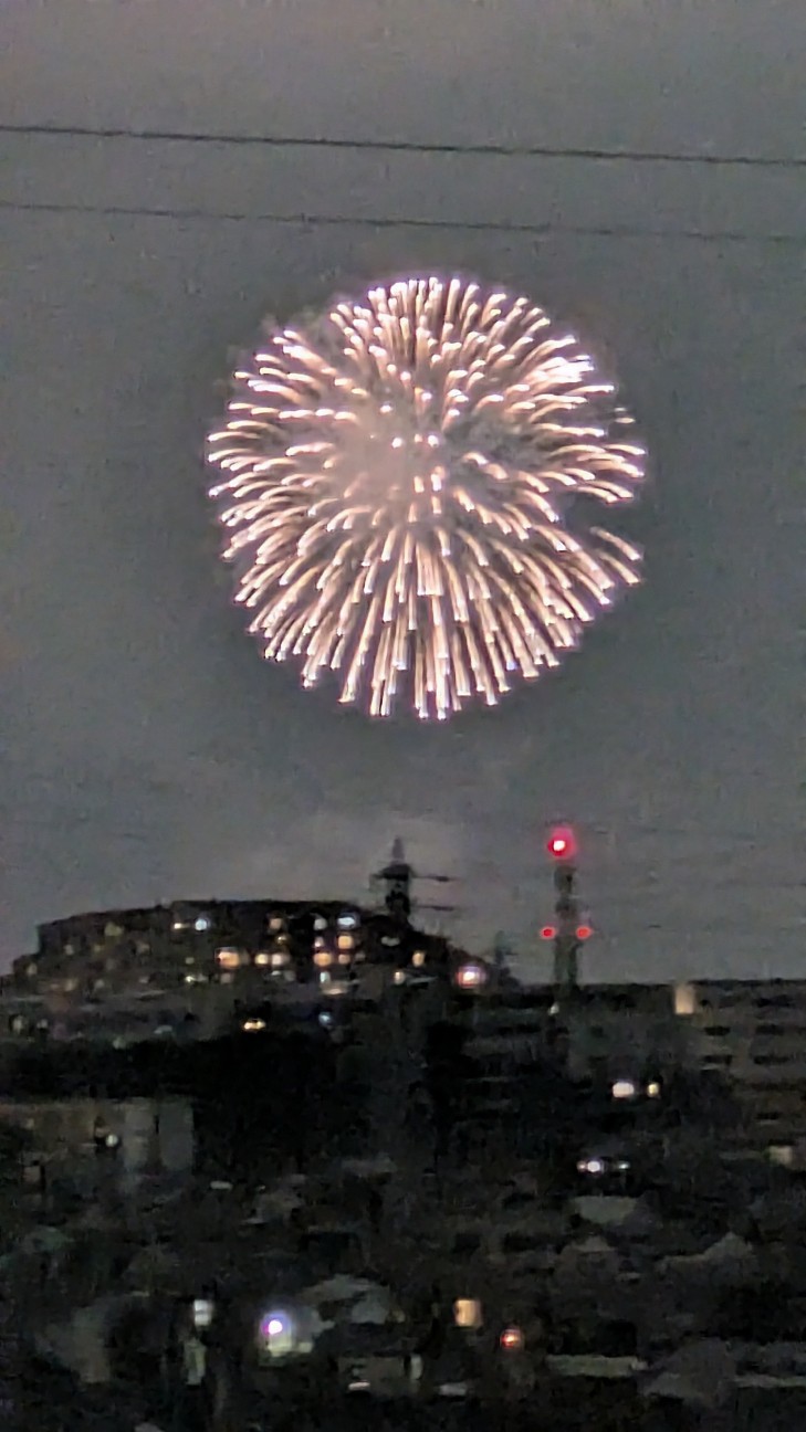 f:id:makoako:20260730182208j:image f:id:makoako:20260730182208j:image