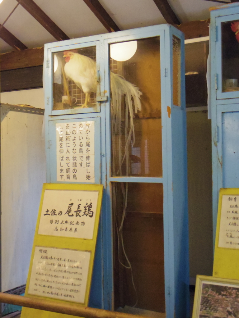 f:id:makochan1975:20180602214555j:plain f:id:makochan1975:20180602214555j:plain