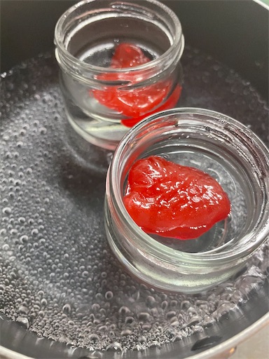 f:id:makoragi:20201203090009j:image