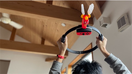 f:id:makoragi:20201215174117j:image