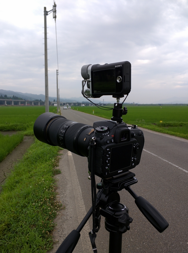 f:id:makoro2_0:20160702074025j:plain f:id:makoro2_0:20160702074025j:plain