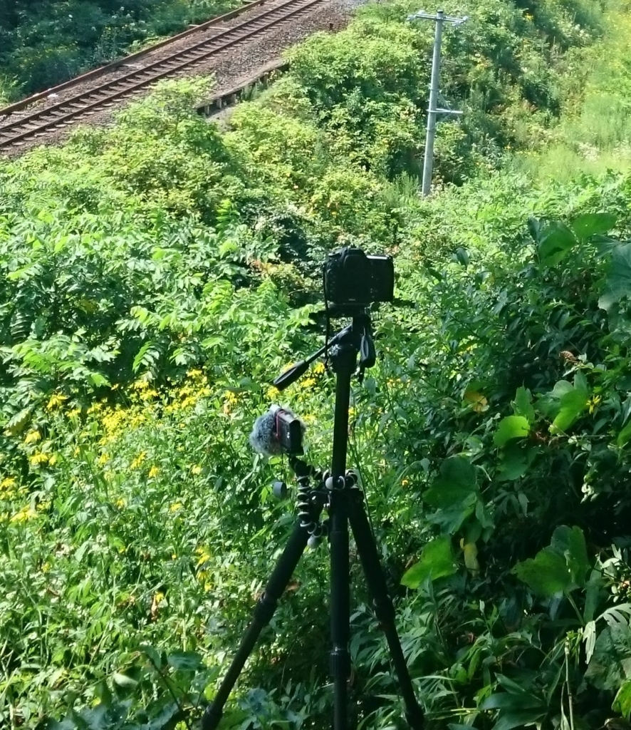 f:id:makoro2_0:20160807135136j:plain f:id:makoro2_0:20160807135136j:plain