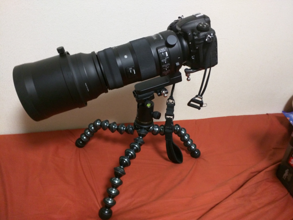 f:id:makoro2_0:20170303185312j:plain