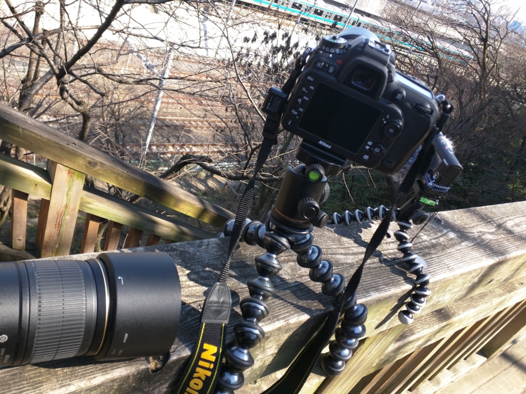 f:id:makoro2_0:20170303185318j:plain