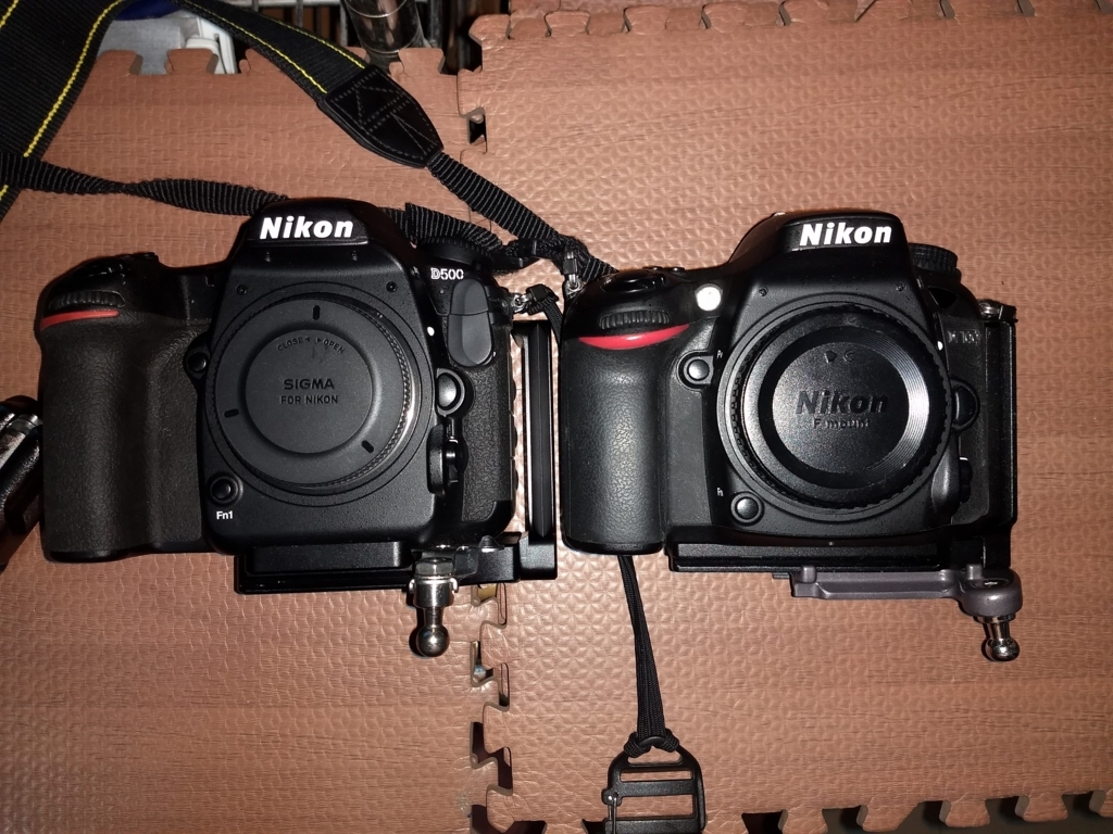 f:id:makoro2_0:20180719233216j:plain f:id:makoro2_0:20180719233216j:plain