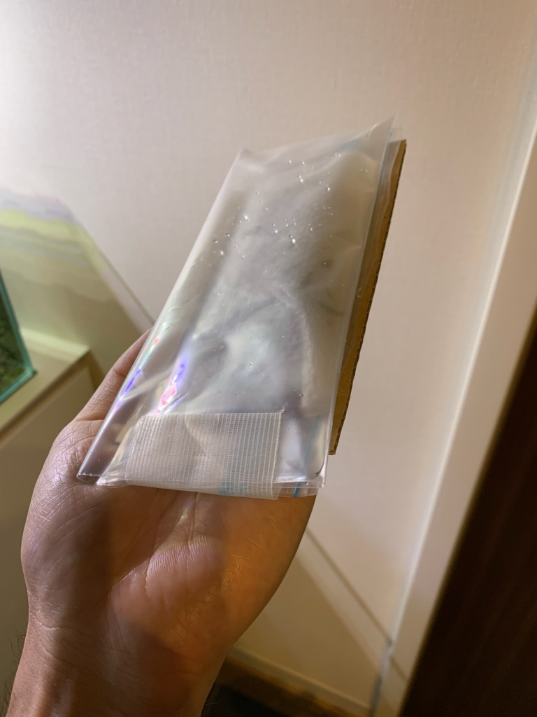 発送前の水草