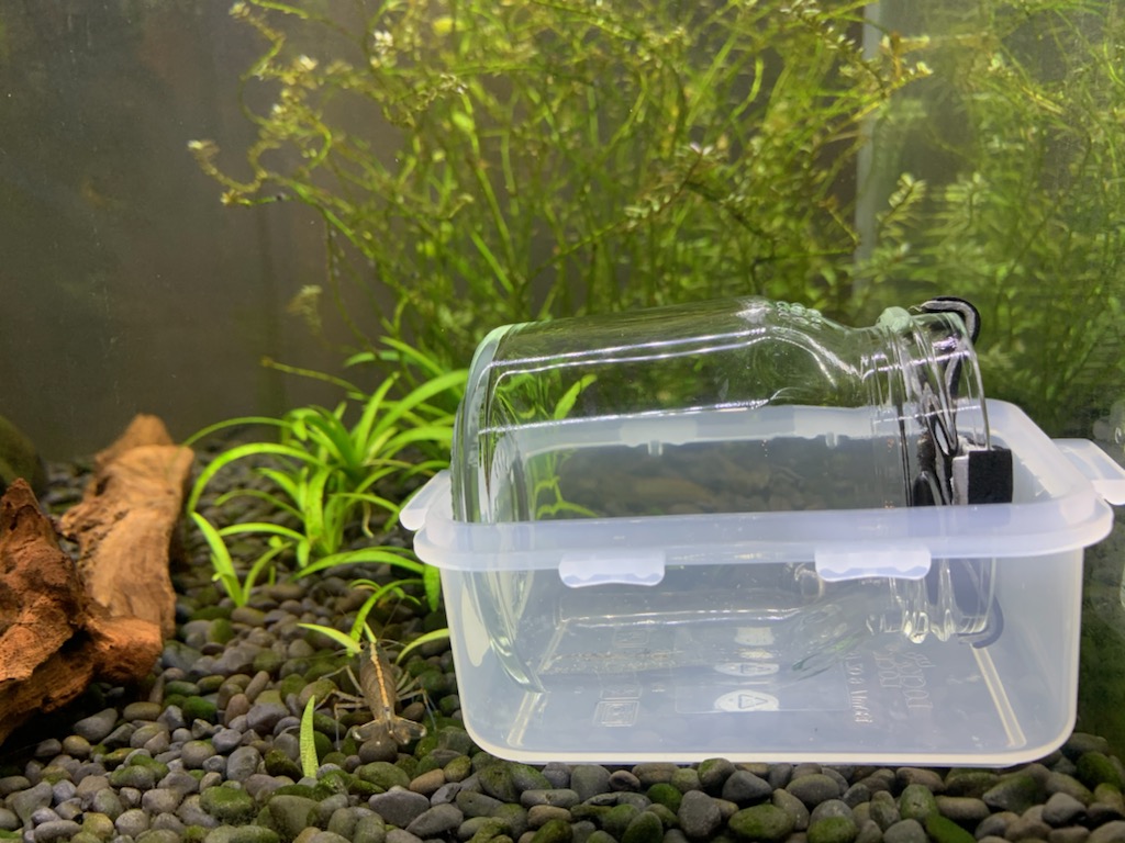 餌付け道具の水槽設置2