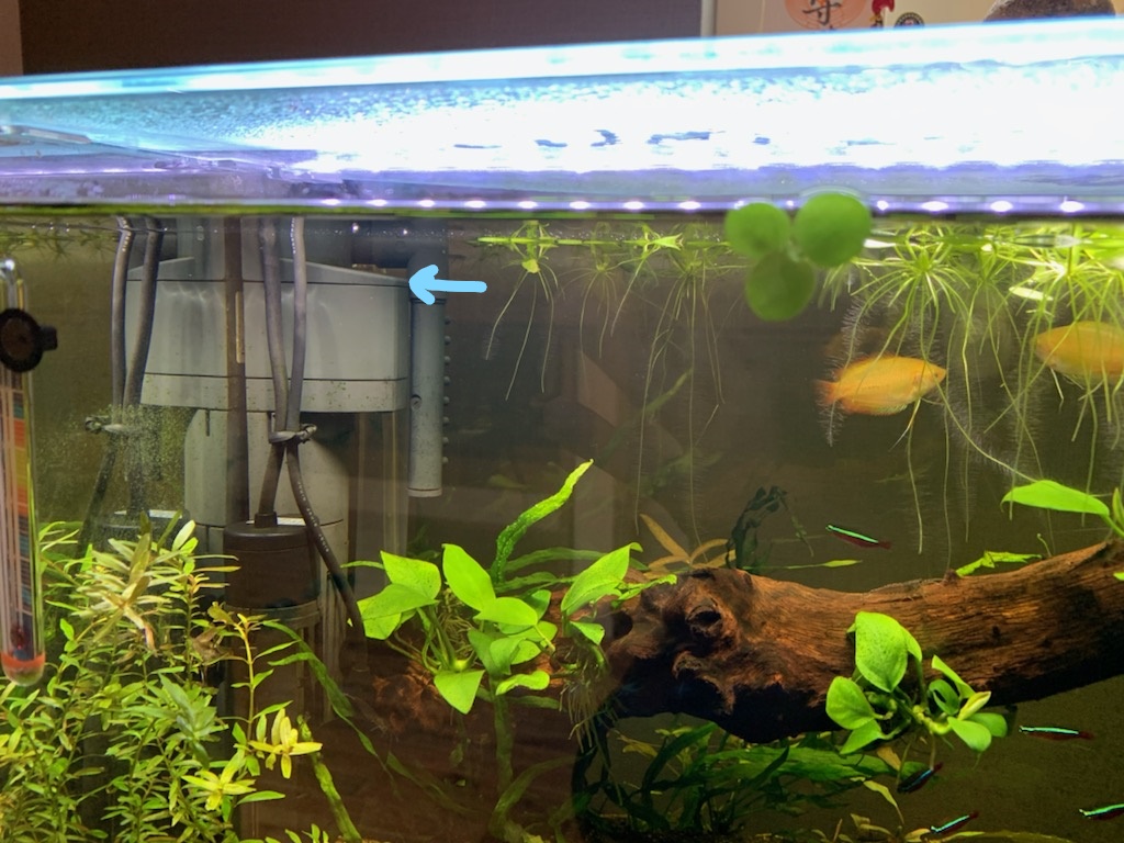 最低水位は高い