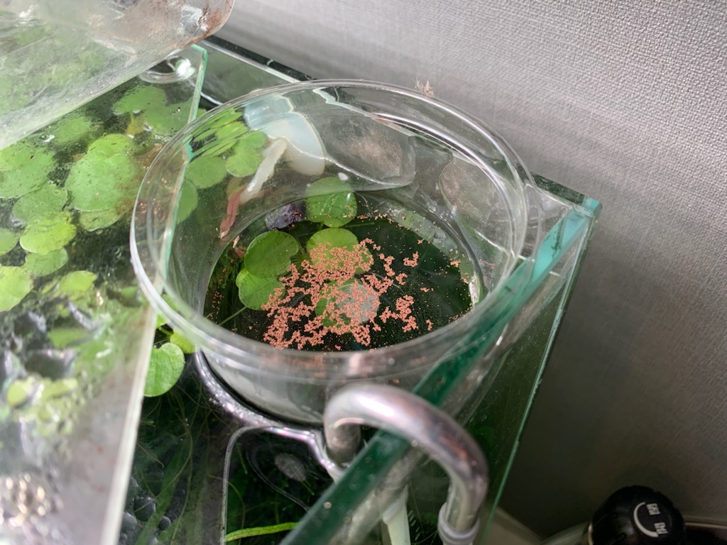水槽に浮かべる