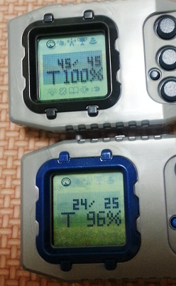 育成7日目 メタルグレイモン＆ホーリーエンジェモンも究極体へ