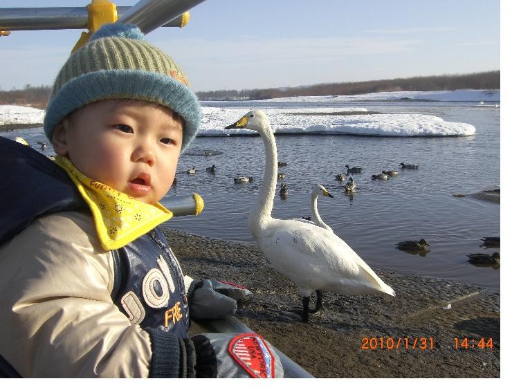 f:id:makosyoko:20100202154135j:image f:id:makosyoko:20100202154135j:image