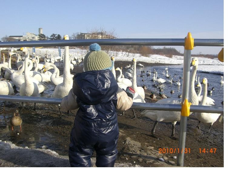 f:id:makosyoko:20100202154217j:image f:id:makosyoko:20100202154217j:image