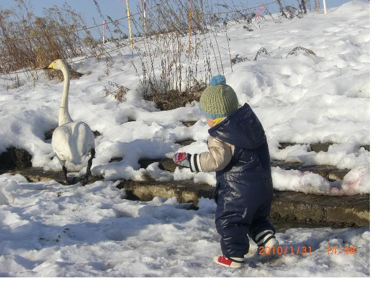 f:id:makosyoko:20100202154302j:image f:id:makosyoko:20100202154302j:image