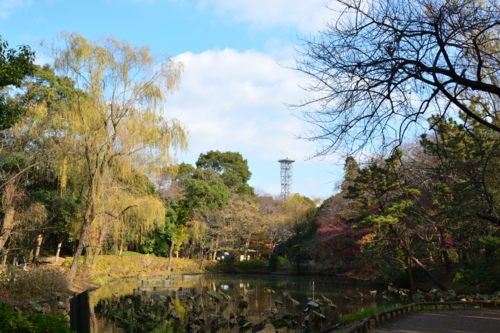 [美品/作例] Sigma AF 17-50mm f2.8 EX DC OS 個別「SIGMA 17-50mm F2.8EX DC OS HSM 作例1」の写真、画像