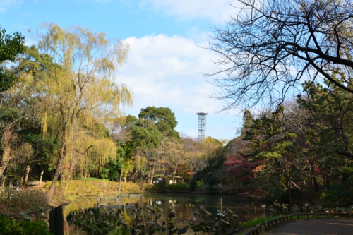 SIGMA 17-50mm F2.8EX DC OS HSM　作例1