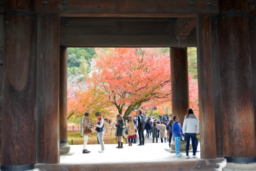 南禅寺山門からみた境内の紅葉