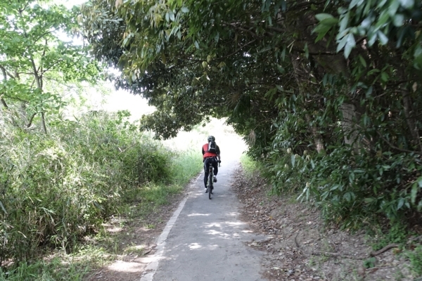 鬱蒼としたサイクリングロード