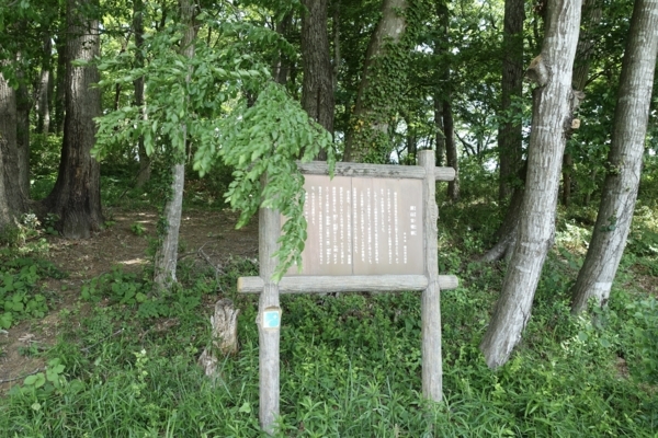 原山古墳群の案内