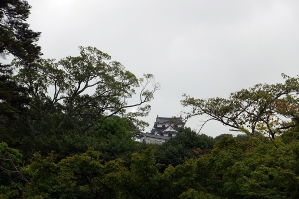 玄宮園から仰ぎ見た天守