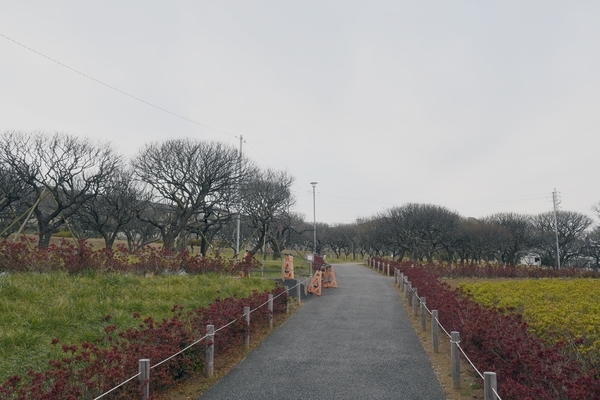 習志野梅林公園