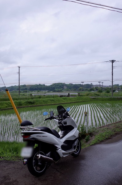 印西市内の田園地帯