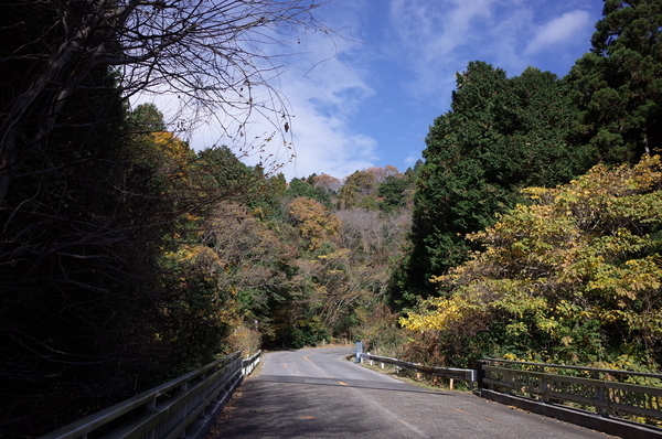 キツイ山道