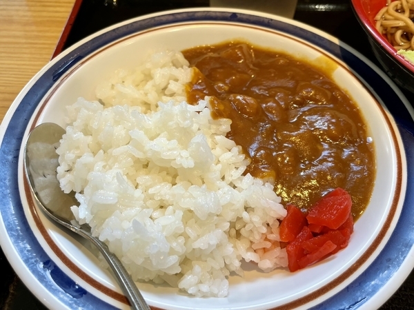 ミニカレー