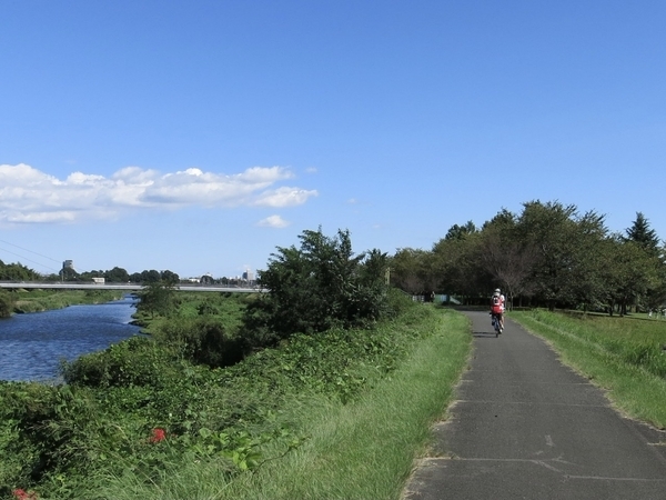 広瀬川自転車道を進む