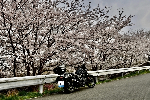 花見川