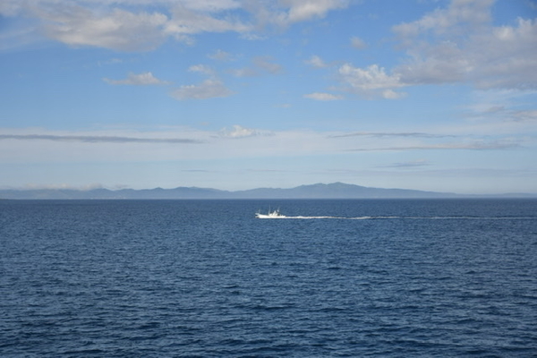 礼文島が見えた