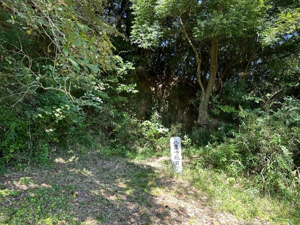 八重崎秋月
