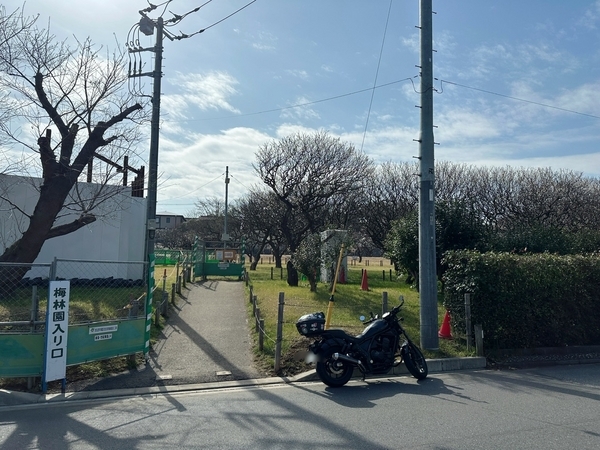 習志野梅林園とレブル1100①