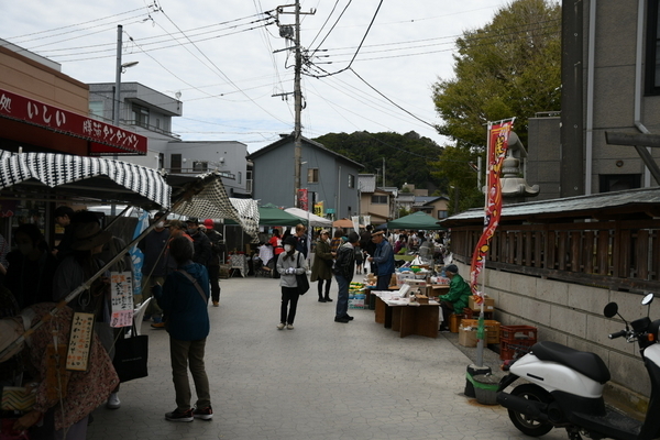 勝浦朝市