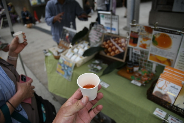 びわ茶の試飲