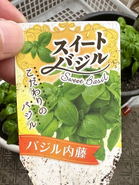 スイートバジルのネームプレート