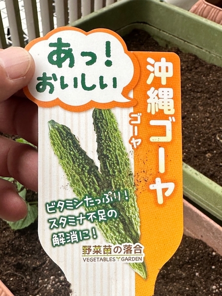 沖縄ゴーヤのネームプレート