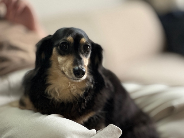 義娘実家のRINちゃん