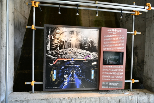 新展望広場特設会場の展示
