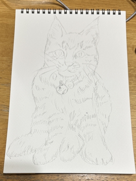 色鉛筆画 色鉛筆画9作目〜 チワワ🐕 本で使われてる色鉛筆と全然色が違っ