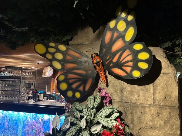 “レインフォレストカフェ・トーキョーの店内"