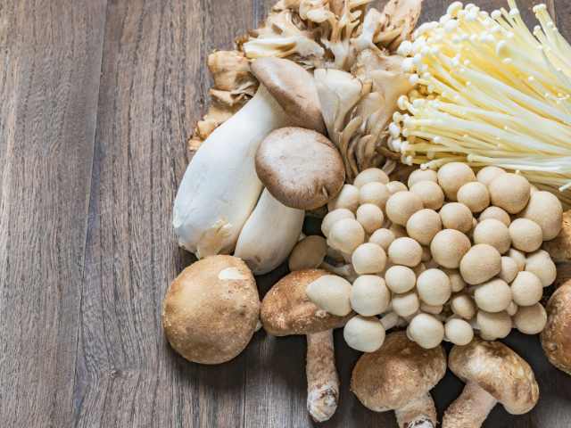 冷凍に向かないきのこはない？様々な種類の冷凍方法