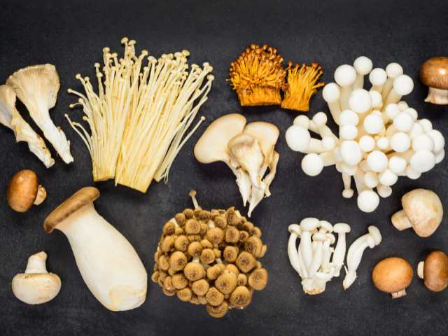 きのこ冷凍の際の保存方法と準備