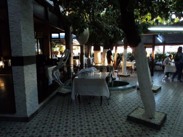 f:id:makoton1960:20191007194726j:plain