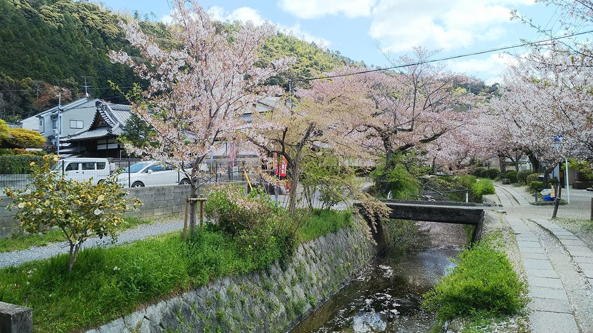 f:id:makoton1960:20200412092455j:plain