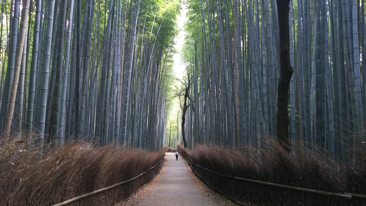 f:id:makoton1960:20200430085101j:plain