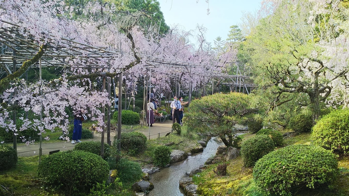 f:id:makoton1960:20210331221216j:plain