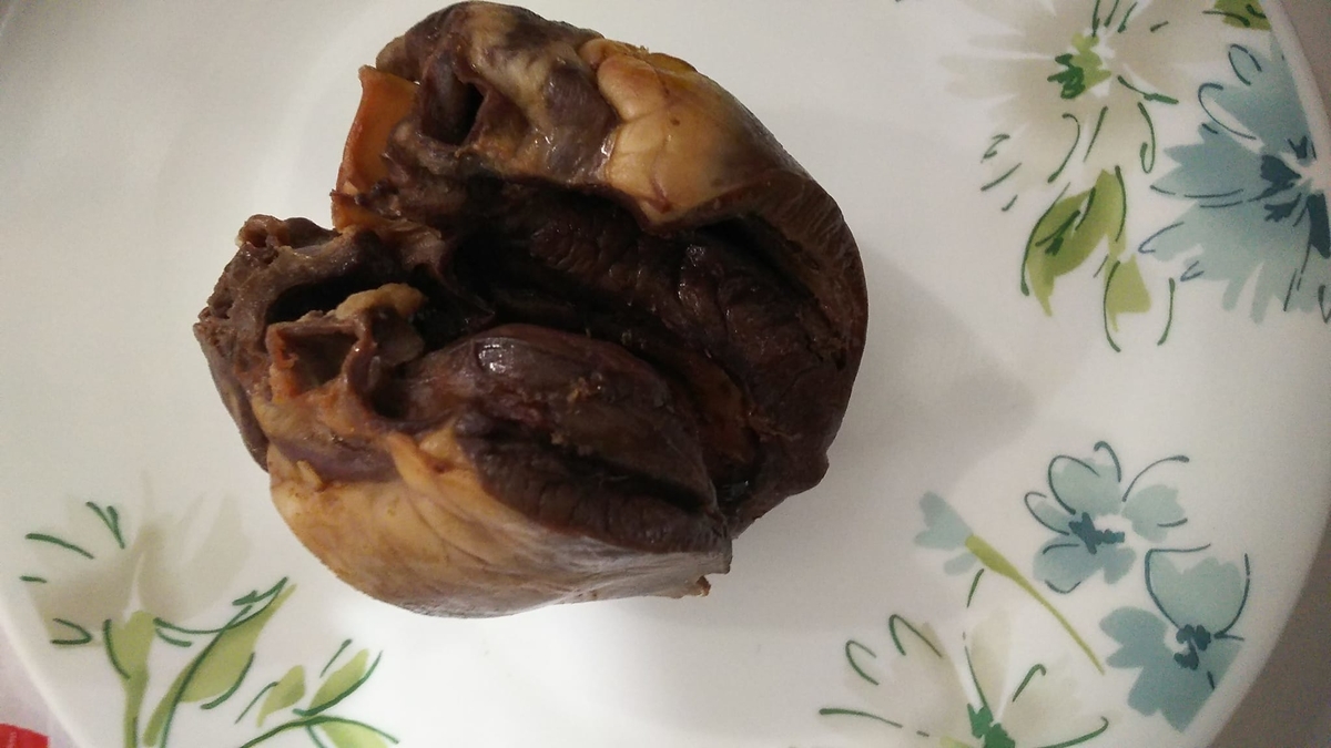 f:id:makoton1960:20211215145328j:plain