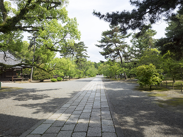 f:id:makt55:20150524091313j:image:w360