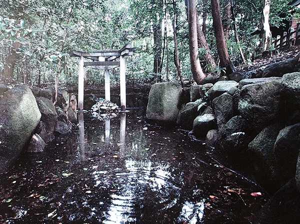 f:id:makt55:20150602104300j:image:w360:left