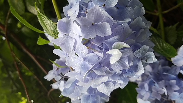 f:id:makt_riders12:20190614221647j:image f:id:makt_riders12:20190614221647j:image